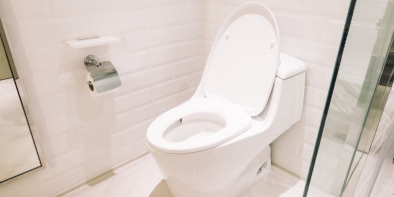 Como Desentupir Vaso Sanitário Que Caiu Objeto Dentro em Duque de Caxias: 4 Técnicas